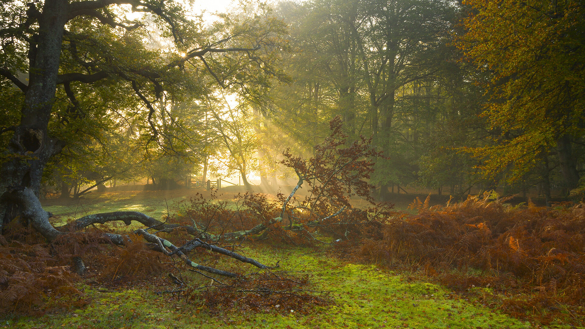 决赛中场控制力决定比赛走向，中场如何控制比赛节奏